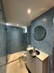 Dunearn Road (D11), Condominium #417452421
